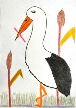 Koníčková Sarah.jpg